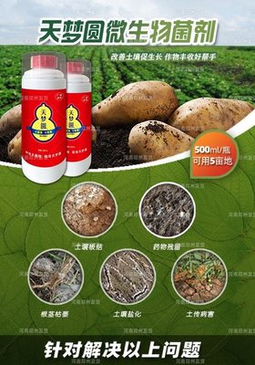 復(fù)合微生物菌劑在現(xiàn)代農(nóng)業(yè)中的應(yīng)用與研發(fā)前景——以沃豐施敢當(dāng)與天夢圓為例