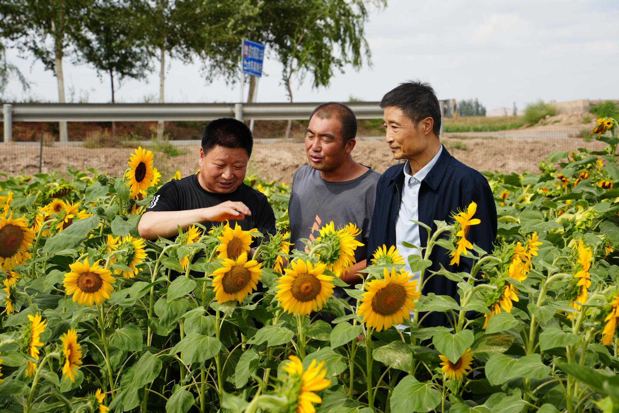 蘭州大學(xué)綠色材料研發(fā)中心主任劉偉生介紹,凹凸棒復(fù)合微生物肥料以及